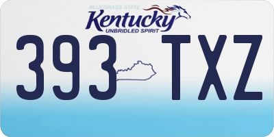 KY license plate 393TXZ