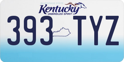 KY license plate 393TYZ