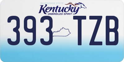 KY license plate 393TZB
