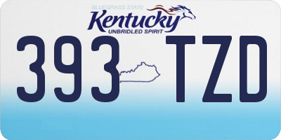 KY license plate 393TZD