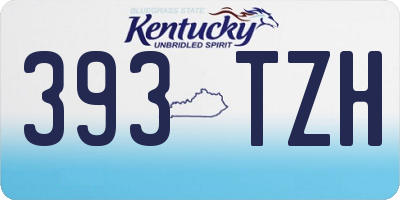 KY license plate 393TZH