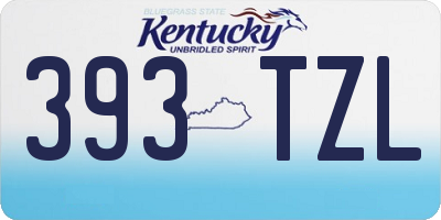 KY license plate 393TZL