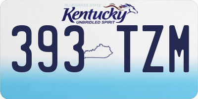 KY license plate 393TZM