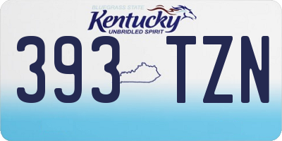 KY license plate 393TZN