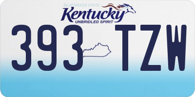 KY license plate 393TZW