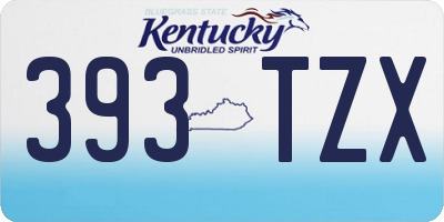 KY license plate 393TZX