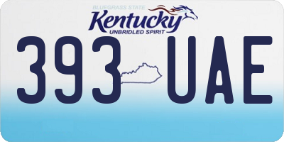 KY license plate 393UAE