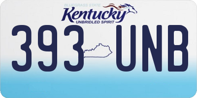 KY license plate 393UNB