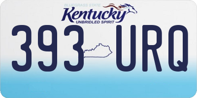 KY license plate 393URQ