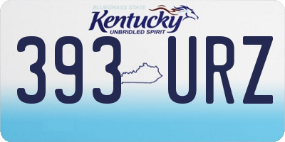KY license plate 393URZ