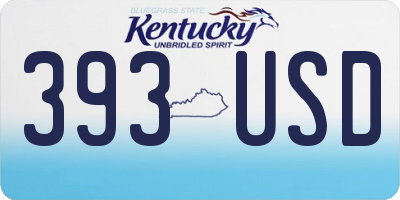 KY license plate 393USD