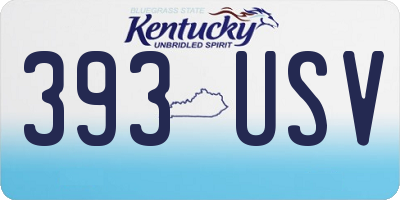 KY license plate 393USV