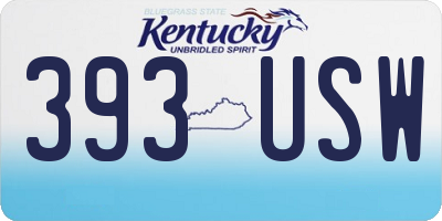 KY license plate 393USW