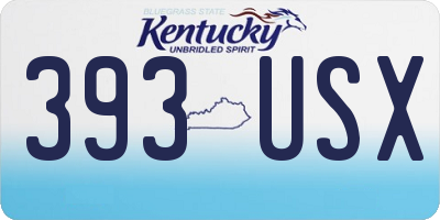 KY license plate 393USX
