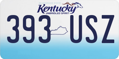 KY license plate 393USZ