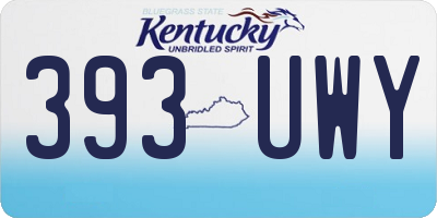 KY license plate 393UWY