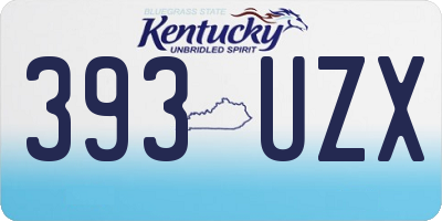 KY license plate 393UZX