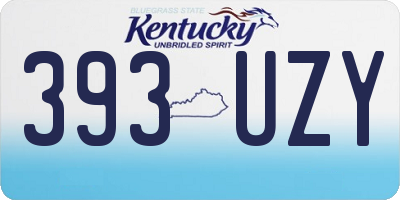 KY license plate 393UZY