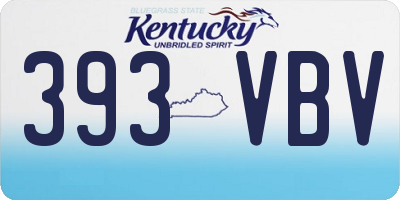 KY license plate 393VBV