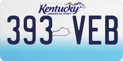 KY license plate 393VEB