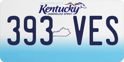KY license plate 393VES