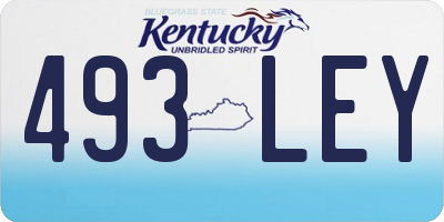 KY license plate 493LEY