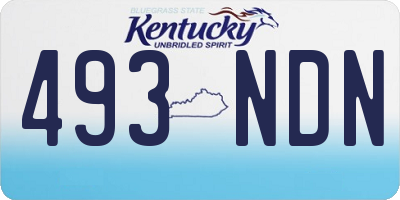 KY license plate 493NDN
