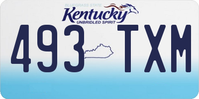 KY license plate 493TXM