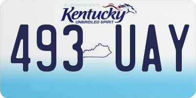 KY license plate 493UAY