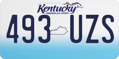 KY license plate 493UZS