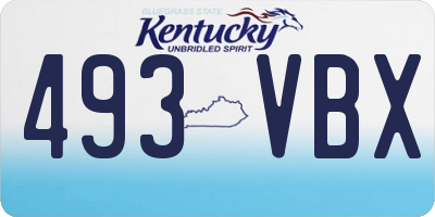 KY license plate 493VBX