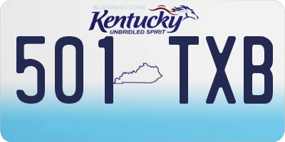 KY license plate 501TXB