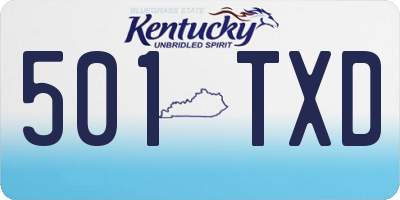 KY license plate 501TXD