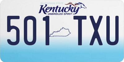 KY license plate 501TXU