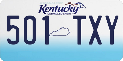 KY license plate 501TXY