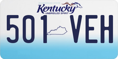 KY license plate 501VEH