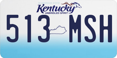 KY license plate 513MSH