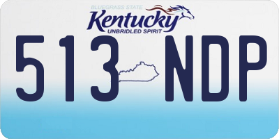 KY license plate 513NDP