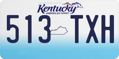 KY license plate 513TXH