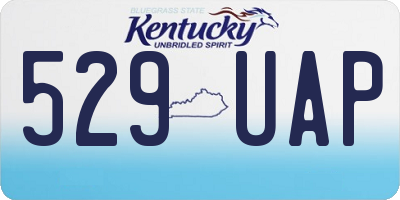 KY license plate 529UAP