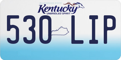 KY license plate 530LIP
