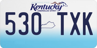 KY license plate 530TXK