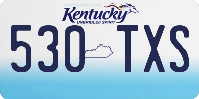 KY license plate 530TXS