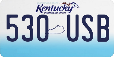KY license plate 530USB