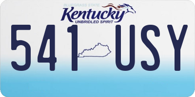 KY license plate 541USY