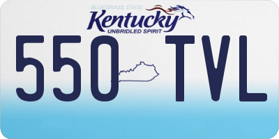 KY license plate 550TVL
