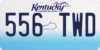 KY license plate 556TWD