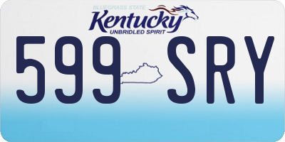 KY license plate 599SRY