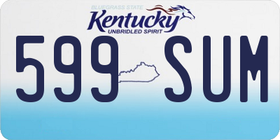 KY license plate 599SUM