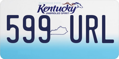 KY license plate 599URL